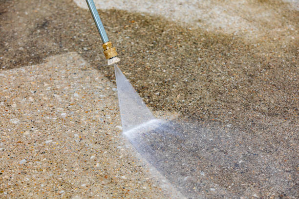 Best Animal Enclosure Cleaning  in Rosita, TX