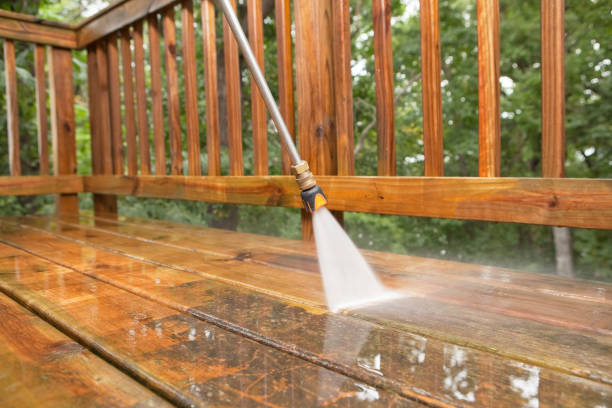 Best Sidewalk and Walkway Cleaning  in Rosita, TX